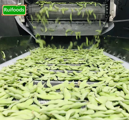 IQF Edamame in Pods