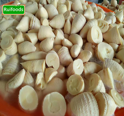 IQF Bamboo Shoot