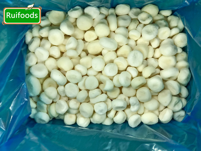 wholesale iqf frozen water chestnut slices