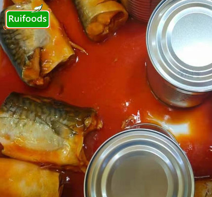 Canned mackerel in Tomato sauce