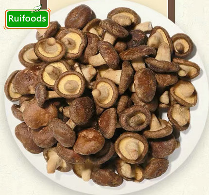 Freeze Dried Mushroom