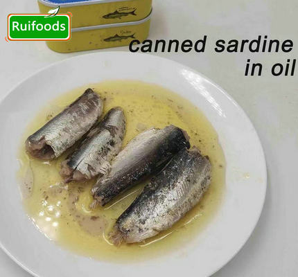 Canned sardine in Oil