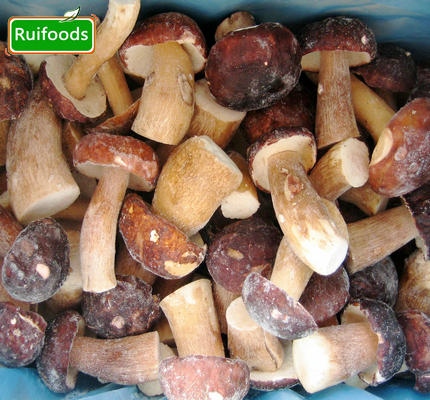 IQF Boletus Edulis